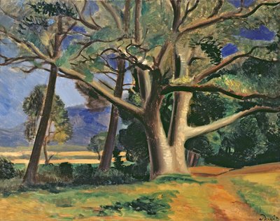 De grote boom, ca. 1929-30 (olieverf op doek) (zie ook 287578) door Andre Derain