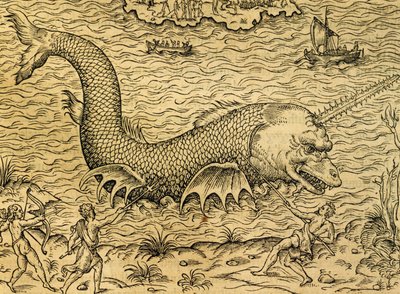 Zee monster, gravure uit Universele Kosmologie, door Andre Thevet (1504-1592), Parijs door Andre Thevet