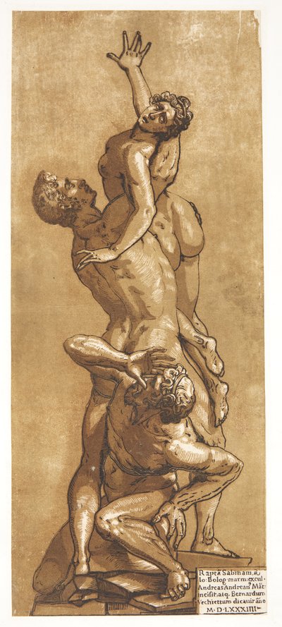 De ontvoering van een Sabijnse vrouw door Andrea Andreani