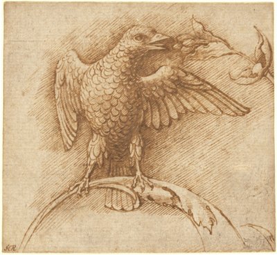 Een Vogel op een Tak met Vruchten door Andrea Mantegna