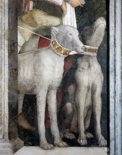 Molossische honden (detail) door Andrea Mantegna