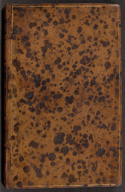 Het eerste boek van Andrea Palladio