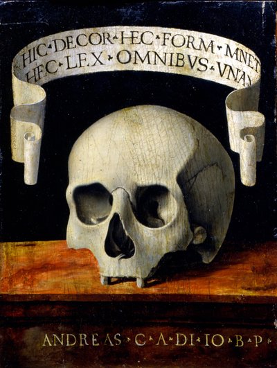 Portret van een man - Memento Mori door Andrea Previtali called Cordeliaghi
