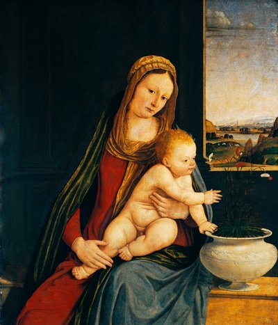 Madonna en Kind of Madonna van de Anjers door Andrea Solario