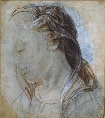 Vrouwelijk hoofd door Andrea Verrocchio