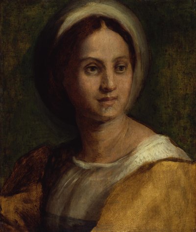  door Andrea del Sarto