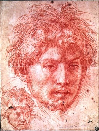 Hoofd van een man door Andrea del Sarto