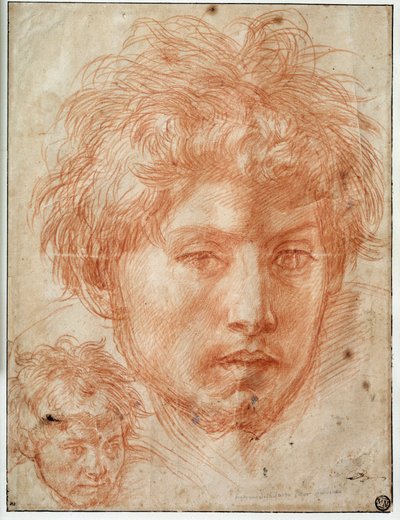Hoofd van een man door Andrea del Sarto