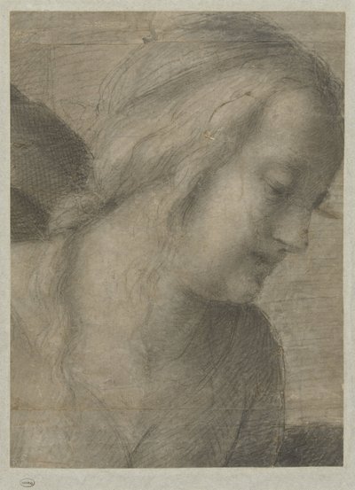 Hoofd van Maria, in een Aanbidding door Andrea del Sarto
