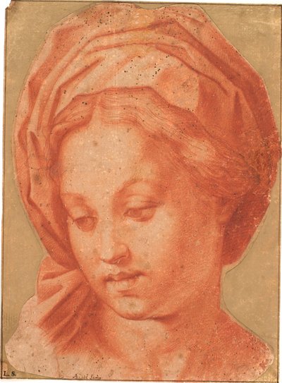 Madonna Borghese door Andrea del Sarto