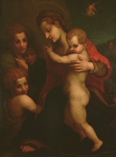 Madonna en Kind, St. Jan en twee Engelen door Andrea del Sarto