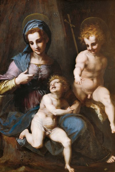 Madonna en Kind met de jonge Sint Jan de Doper door Andrea del Sarto