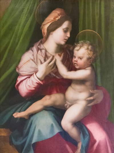 Madonna met Kind door Andrea del Sarto
