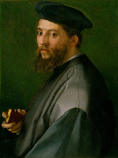 Portret van een man door Andrea del Sarto