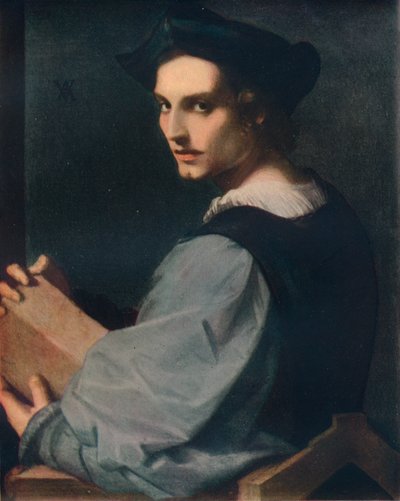Portret van een Jonge Man door Andrea del Sarto