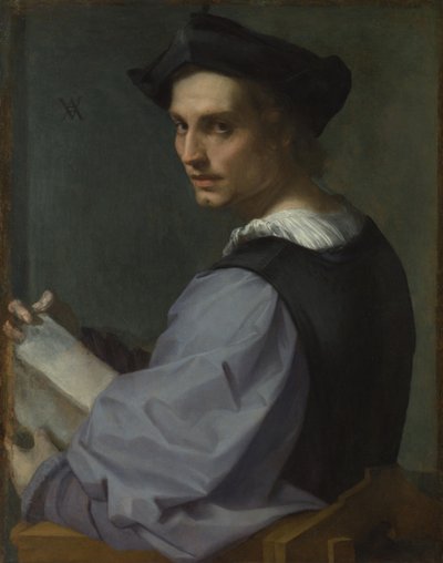 Portret van een Jonge Man door Andrea del Sarto