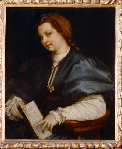 Portret van een meisje met de Petrarchino, een kleine uitgave van gedichten van Petrarca (schilderij op hout) door Andrea del Sarto