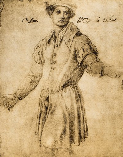 Portret van een jonge Florentijn door Andrea del Sarto