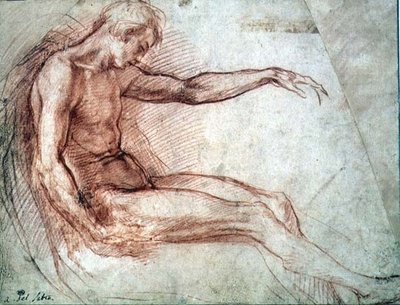 Zittende mannelijke naakt door Andrea del Sarto
