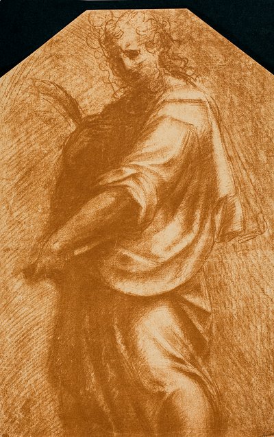 Sint Jan de Doper door Andrea del Sarto