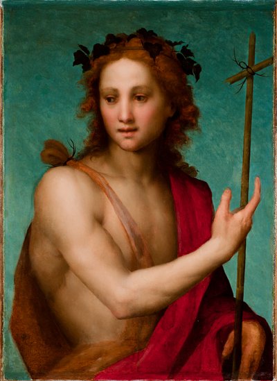 St. Johannes de Doper, ca. 1517 door Andrea del Sarto