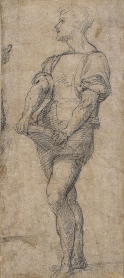 Staande jongeling met een boek, ca. 1515 door Andrea del Sarto
