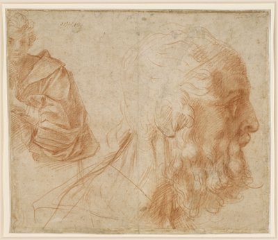  door Andrea del Sarto