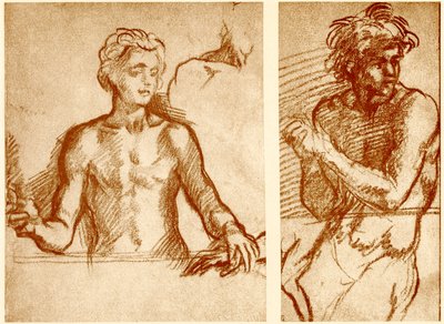 Studies van de figuur van Christus door Andrea del Sarto