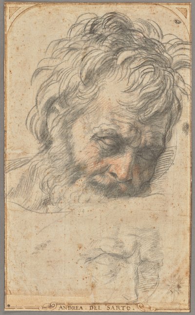 Studie voor het hoofd van de heilige Jozef (recto); Twee studies van benen (verso) door Andrea del Sarto