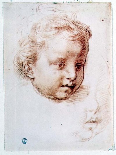 Studie van een kinderhoofd door Andrea del Sarto
