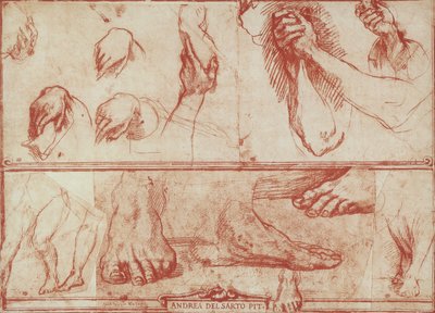 Studie van handen en voeten voor het Laatste Avondmaal van San Salvi door Andrea del Sarto