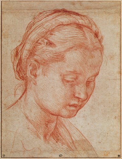 Studie van het hoofd van St. Catherine voor de Deposition met de Maagd Maria en Heiligen in het Pitti Paleis (detail) door Andrea del Sarto