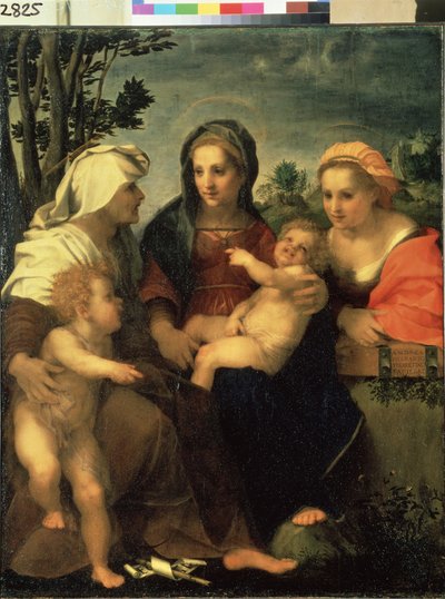 Madonna met kind en de heiligen Catharina, Elisabeth en Johannes de Doper door Andrea del Sarto