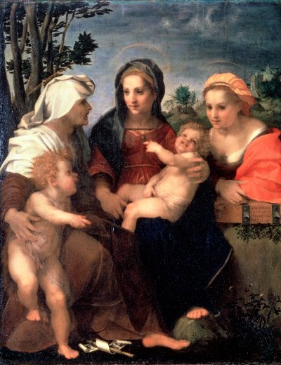 Maagd en Kind met heiligen Catharina, Elisabeth en Johannes de Doper, 1510s door Andrea del Sarto