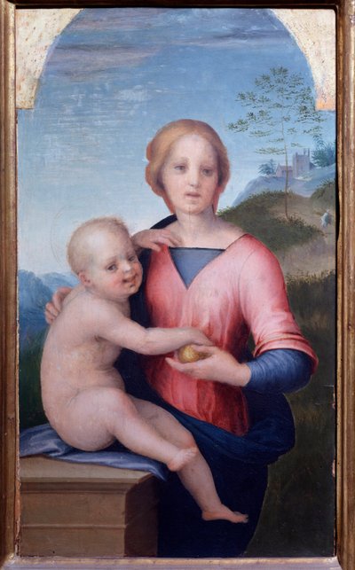 Maagd met kind door Andrea del Sarto