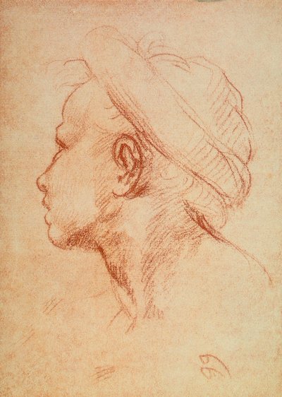 Jeugdhoofd in profiel door Andrea del Sarto