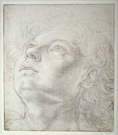 Engelenhoofd door Andrea del Verrocchio