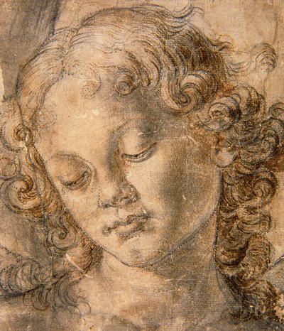 Hoofd van Engel door Andrea del Verrocchio