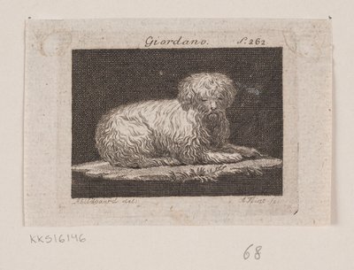 Giordano, een liggende hond door Andreas Flint