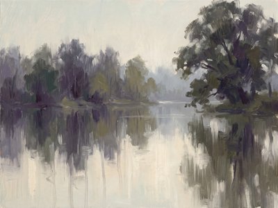 Mistige rivierweerspiegelingen door Andreas Magnusson