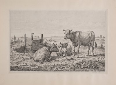 Deens: Een stier en twee koeien door Andreas Peter Madsen