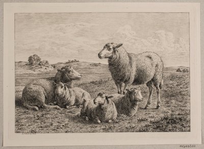 Schapen en lammeren op het veld door Andreas Peter Madsen