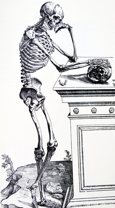 Menselijk Skelet met Schedel in de Hand. Uit "De Humani Corporis Fabrica" van Vesalius. Mogelijke Houtsnijder: Jan van Calcar door Andreas Vesalius