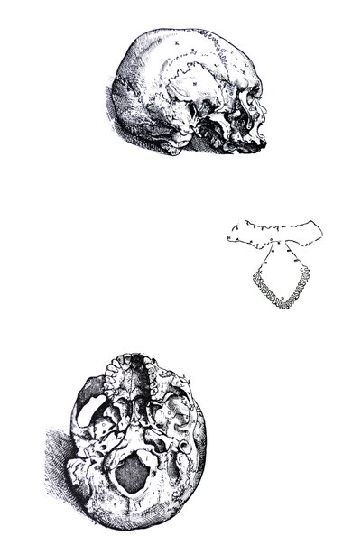 De Platen uit het Eerste Boek van de De Humani Corporis Fabrica door Andreas Vesalius
