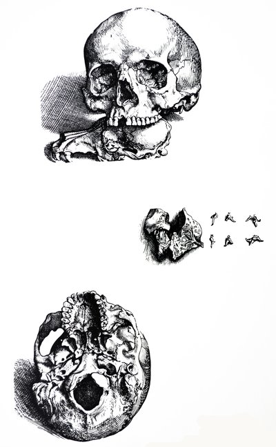 De Platen uit het Eerste Boek van de De Humani Corporis Fabrica door Andreas Vesalius