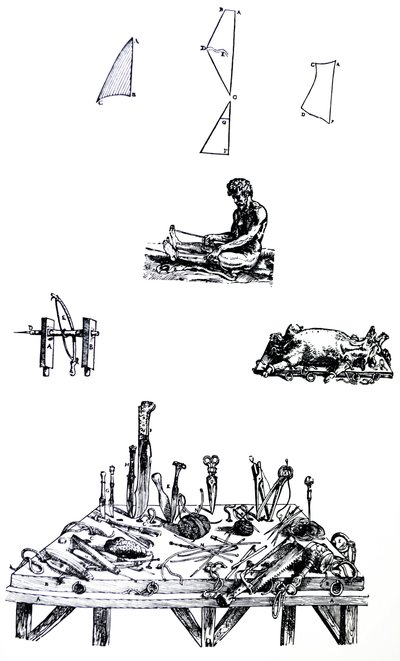 De Platen uit het Tweede Boek van de De Humani Corporis Fabrica door Andreas Vesalius