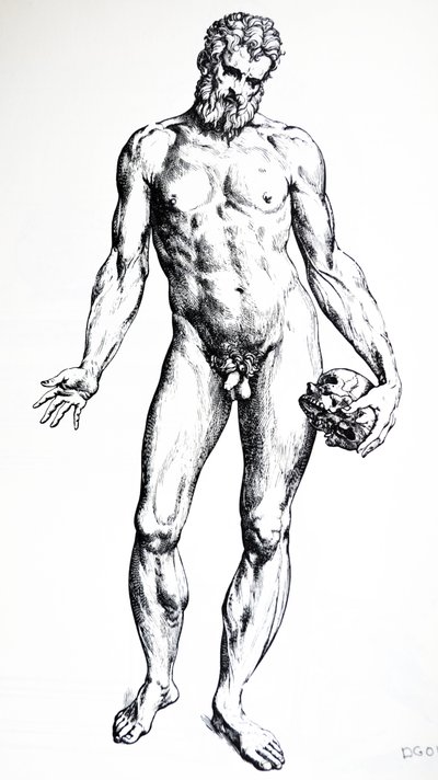 De platen uit het zevende boek van de De Humani Corporis Fabrica door Andreas Vesalius
