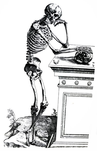 De platen uit het zevende boek van de De Humani Corporis Fabrica door Andreas Vesalius