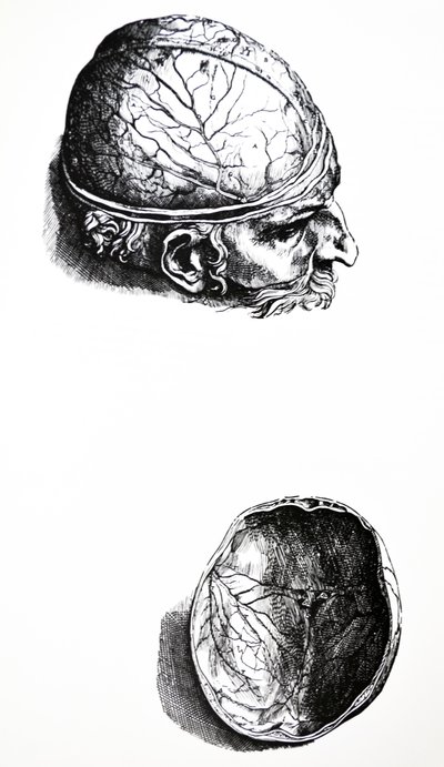 De Platen uit het Zevende Boek van de De Humani Corporis Fabrica door Andreas Vesalius
