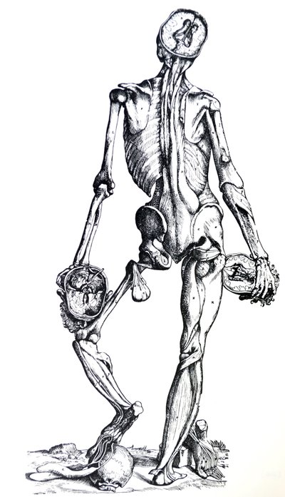 De Platen uit het Zevende Boek van de De Humani Corporis Fabrica door Andreas Vesalius